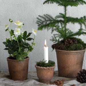 terrakotta smal cotta kruka miljögården jul inredning växter